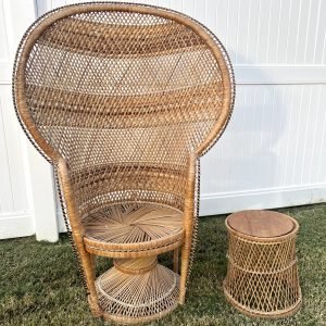 Peacock Chair